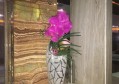 招聘摸鱼文案（创意休闲岗位招募：探索工作与乐趣的奇妙交汇）