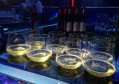 杭州富阳区春江街道附近夜场招聘包厢气氛租,接受新人的