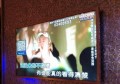 财务招聘幽默范文文案（财务岗位招募：轻松一刻，智慧汇聚）